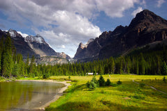 Alpine Meadow