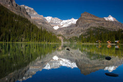 Lake O'Hara Reflection