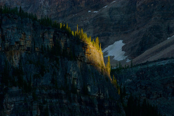 Last Light on Opabin Plateau