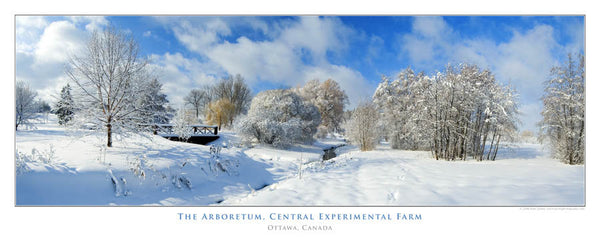 Arboretum Poster