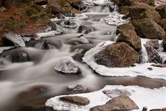 Gatineau Park Stream